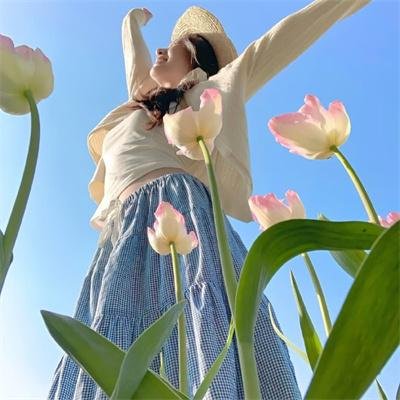 好莱坞结局
